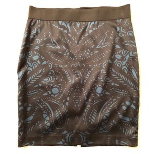 Express Pencil Skirt